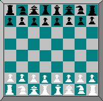 The Chess Board