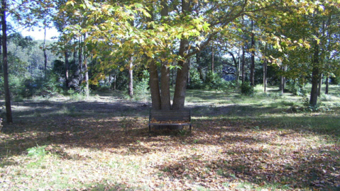 Riverbend's peaceful surroundings - CLICK TO GO TO NEXT PAGE