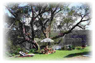 Outside the Cottage on a lazy summer's day - CLICK TO GO TO NEXT PAGE